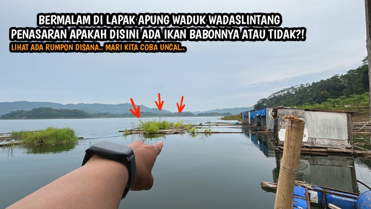 LAPAK APUNG WADASLINTANG IKANNYA BABON BABON!! Mancing wader teknik kumbul dan dasaran umpan pelet