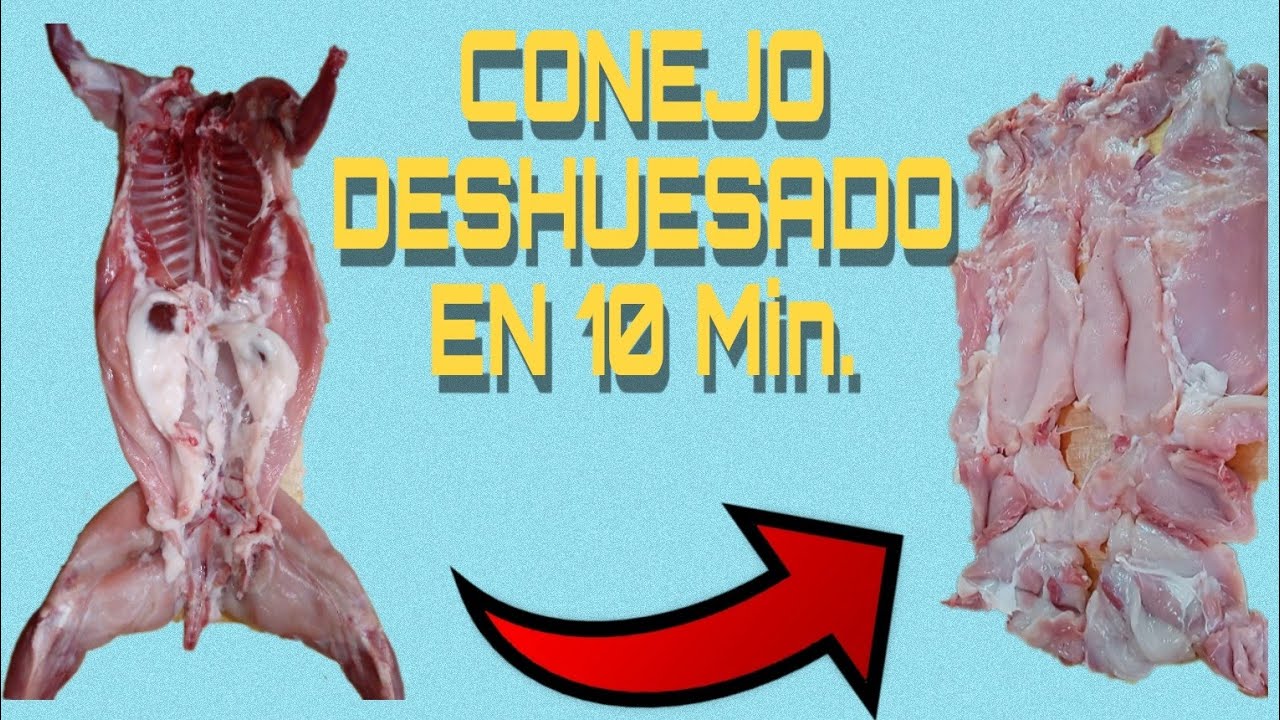 C&oacute;mo Deshuesar un Conejo Paso a Paso #Conejos #deshuesado #conejoarrollado