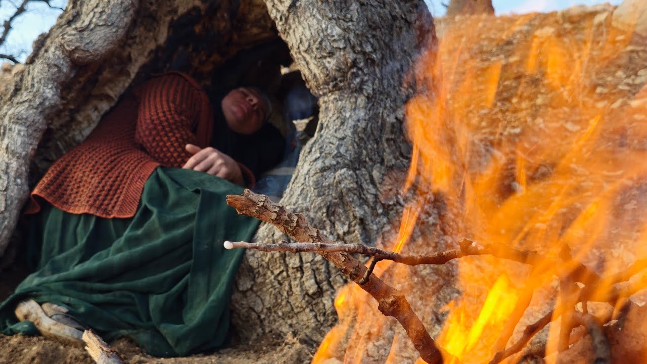 Exiled to the Mountains: Where the Fight for Survival Began