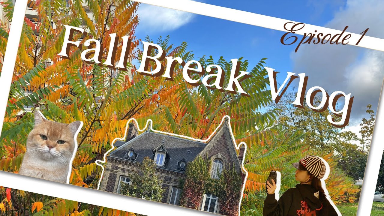 Fall Break in France 🍁 My First Vlog — A Cozy Yet Surprisingly Productive Day