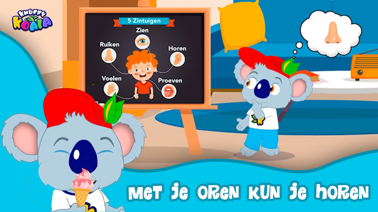 Knuffy Koala - Met Je Oren Kun Je Horen | Welke zintuigen kun je gebruiken? De leukste leerliedjes!