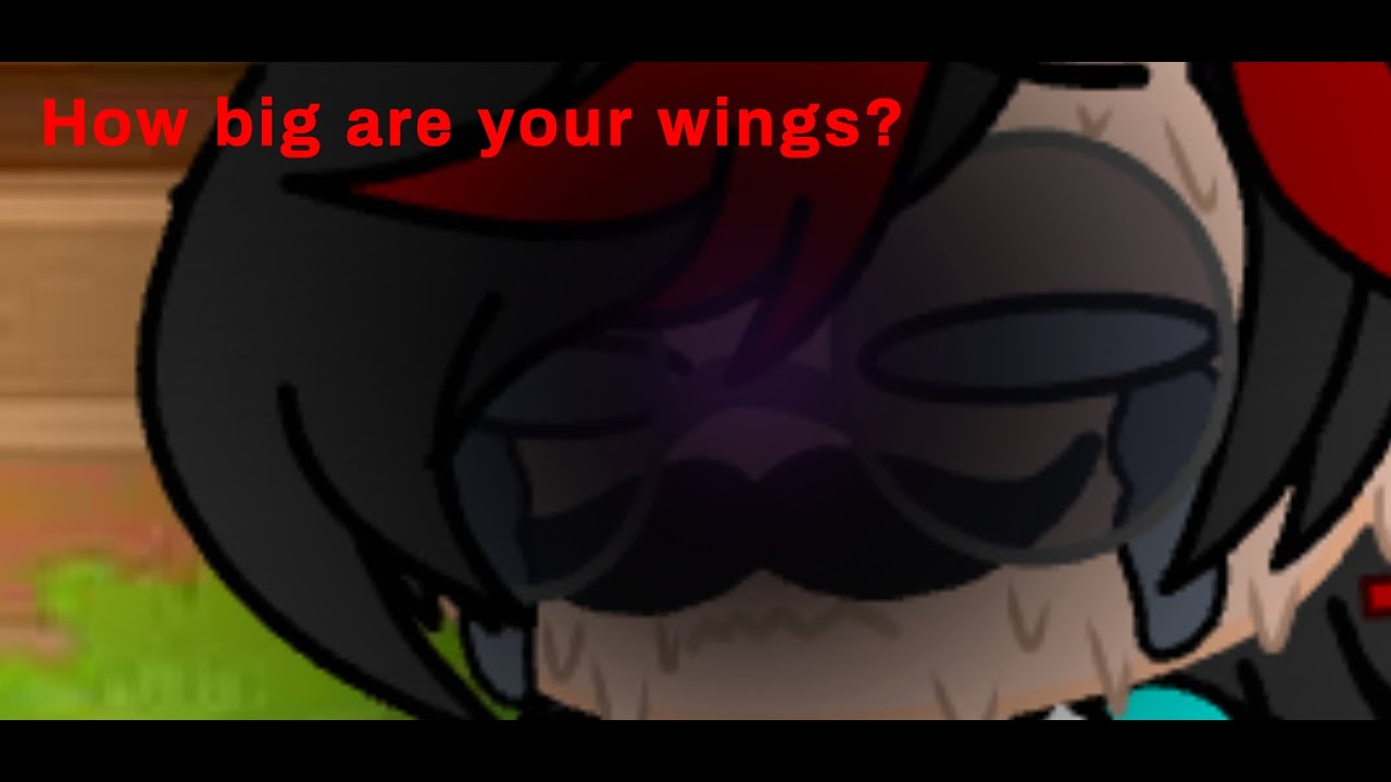 How big are your wings? || Ft: Grian & Mumbo Jumbo || HermitCraft || ( Original??? )