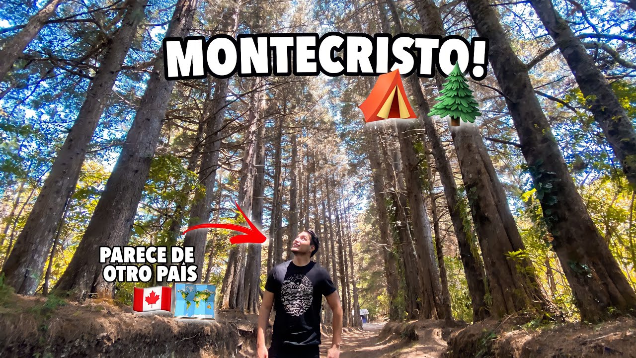 Este BOSQUE en EL SALVADOR te hará SENTIR en otro PAÍS 🇸🇻🌲 MONTECRISTO