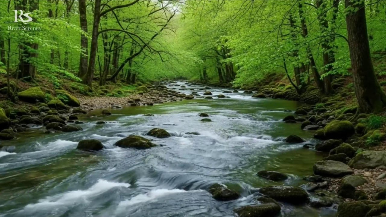 River Sounds for sleeping, Soothing Forest Stream Ambience for deep Sleep and Meditation #river 3
