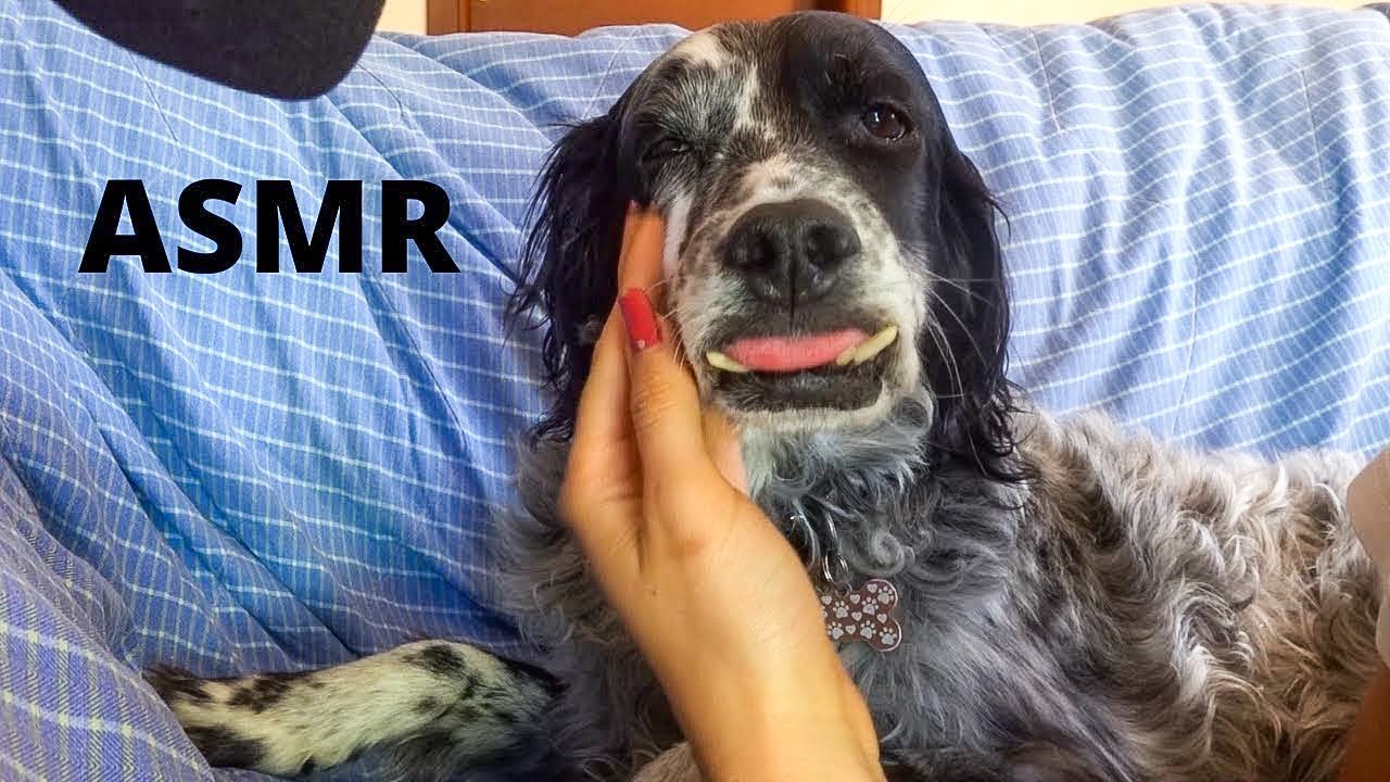 PROVO L’ASMR sul mio CANE ❤️🐶| ASMR