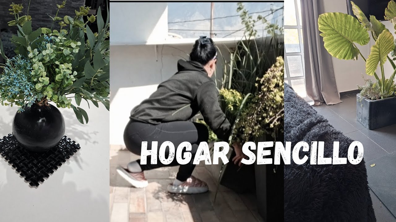 DIAS DE INVIERNO TRANQUILOS /compramos plantas 🪴🪻