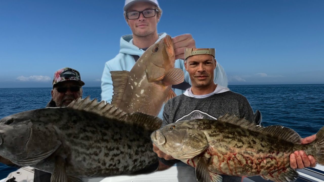 NONSTOP Grouper Action in The Gulf! (CCC)