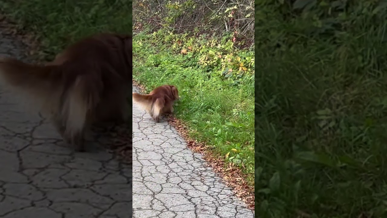 Sitz aus der Entfernung 