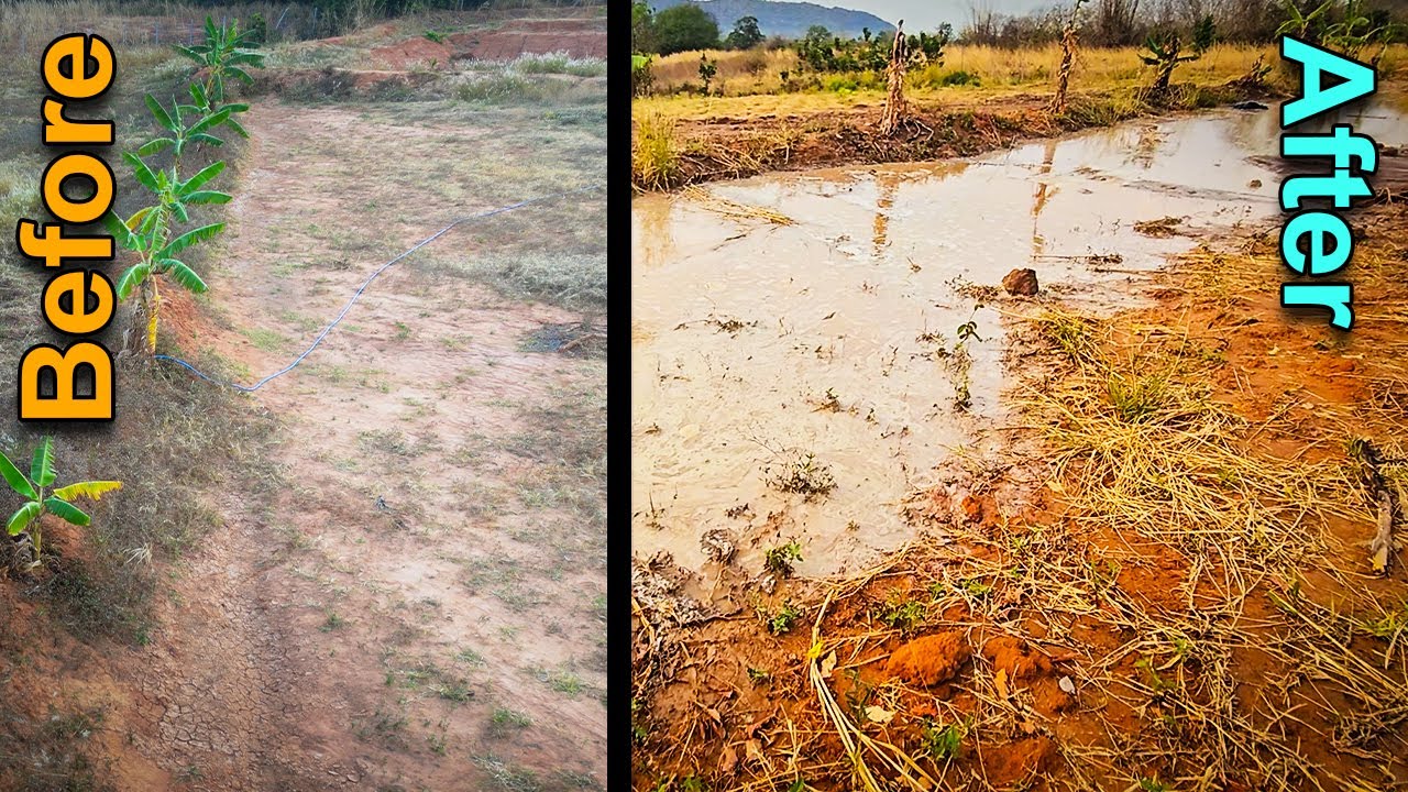 The BEST Sustainable Method for Harvesting Water at Your Farmstead OR Home
