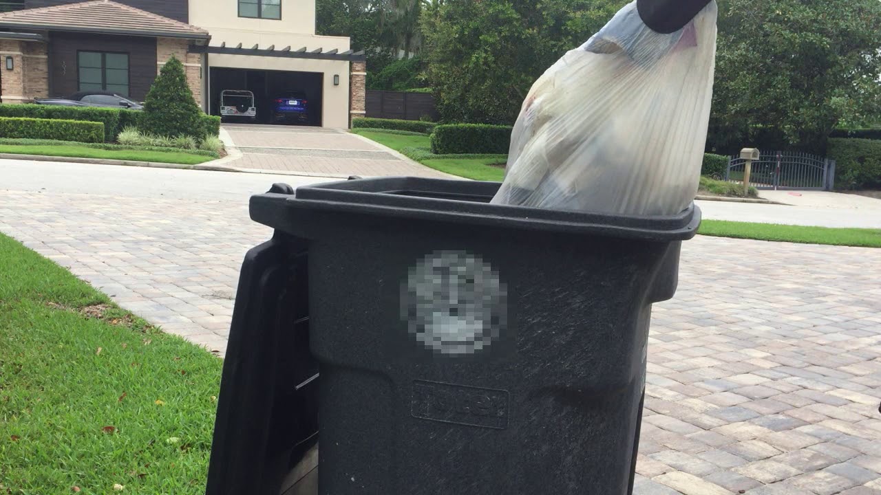 Removing maggots from trash can- a 4D experience