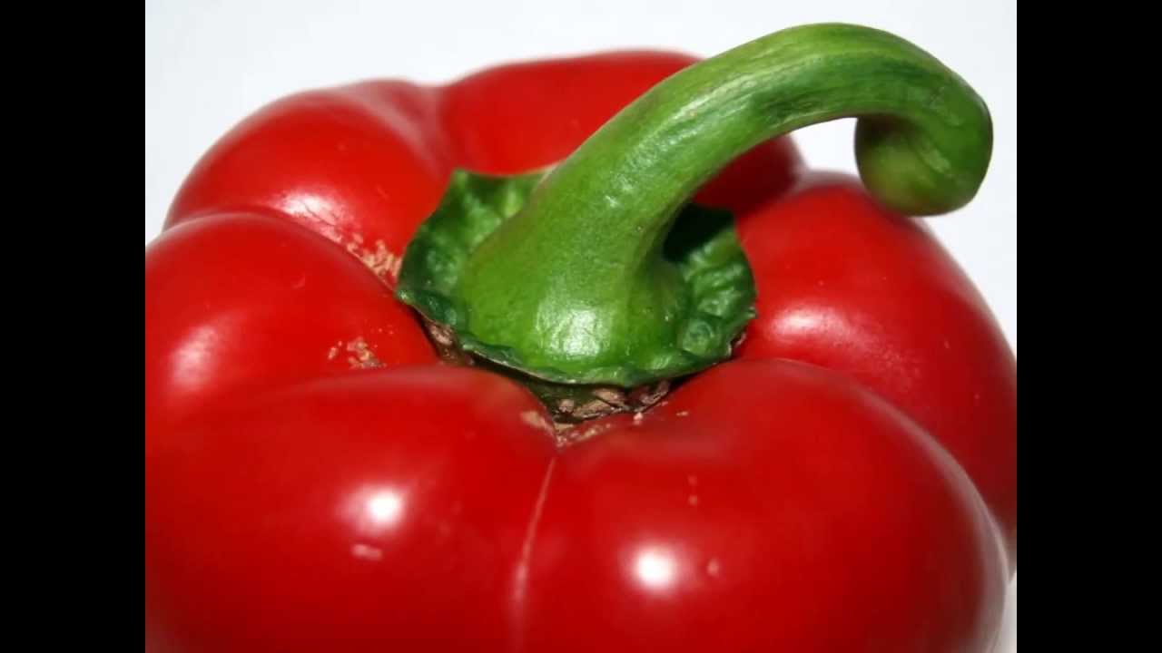 Capsicum annuum