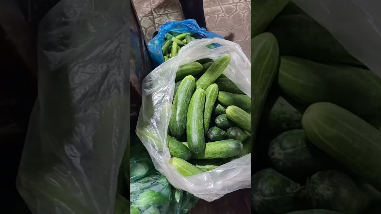 Quốc Thịnh Vlog đang phát trực tiếp!