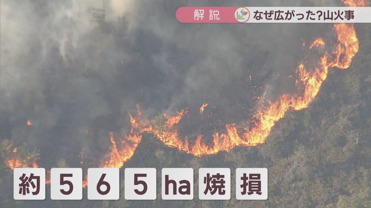 【解説】岡山市の山火事なぜ広がった？　専門家「要因に『山の歴史』が関係」　今後の懸念は