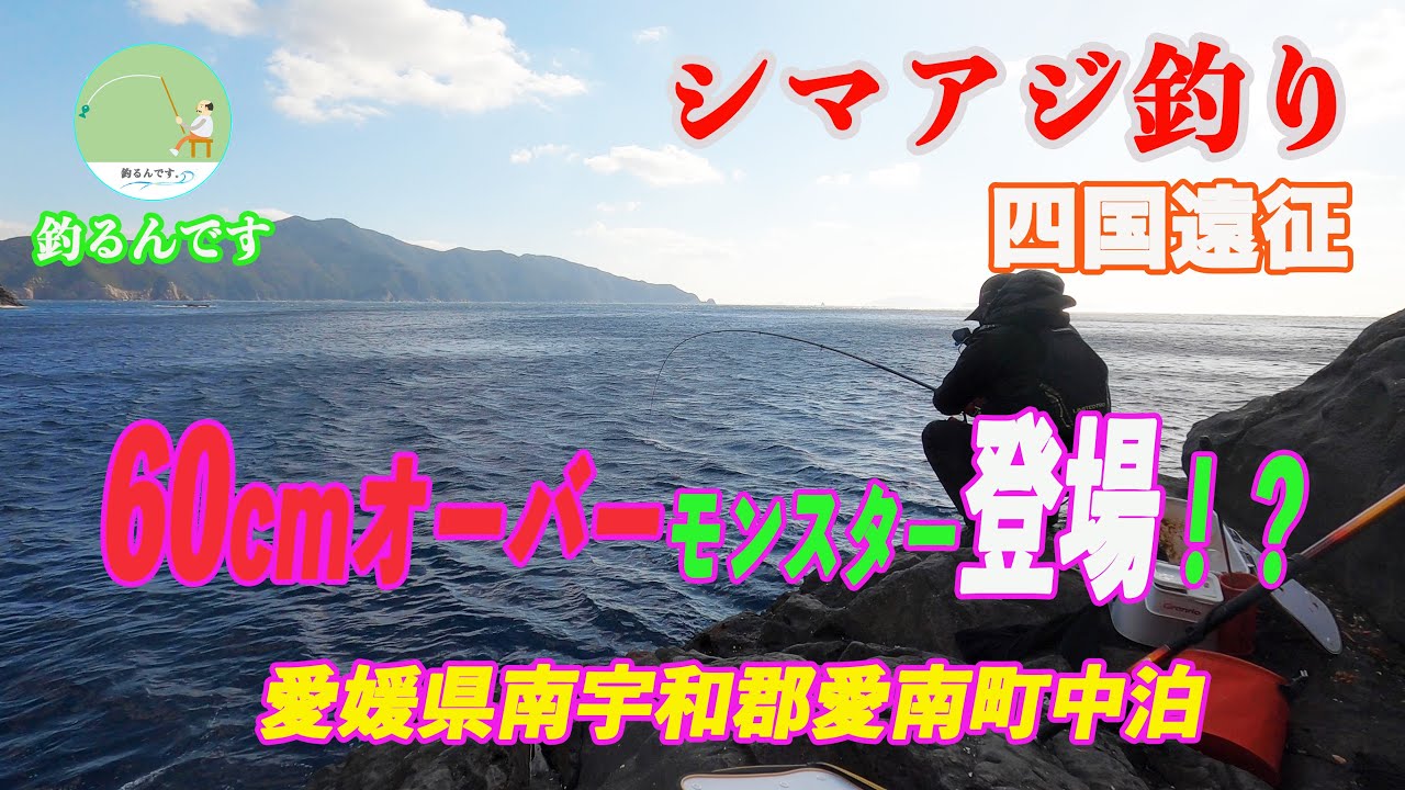 【シマアジ釣り】四国遠征！シマアジフカセ釣りに60cmオーバーモンスター登場！？愛媛県南宇和郡愛南町中泊　＃シマアジ釣り　＃フカセ釣り  ＃中泊