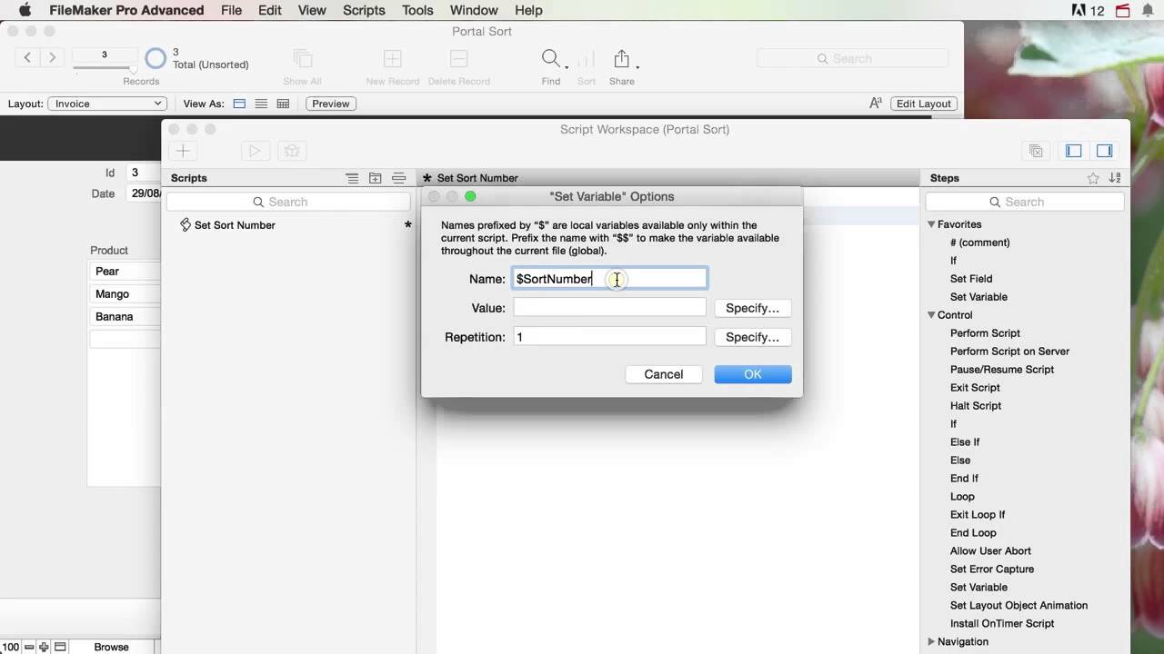 Filemaker Pro Manual Portal Sorting