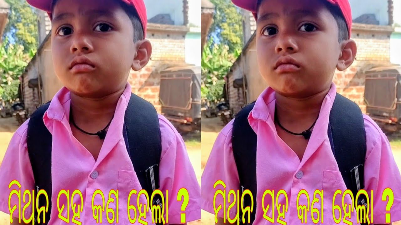 ମିଥୁନ ସହ ଆଜି କଣ ହେଲା ।।।PN2 VLOGS @@Odia Village video## Odia Vlogs Video@@Village Vlogs@@