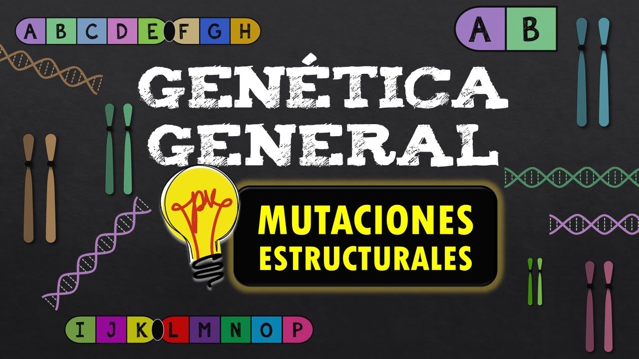 🧬GENÉTICA GENERAL 📌MUTACIONES ESTRUCTURALES  📌 MUTACIONES (Anomalías) CROMOSÓMICAS - Resumen