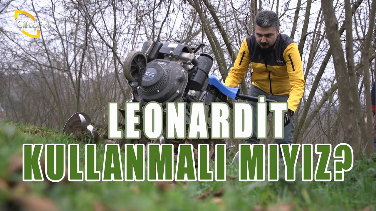 Fındık Verimi İçin Leonardit Kullanmalı Mıyız? - Derdimiz Fındık
