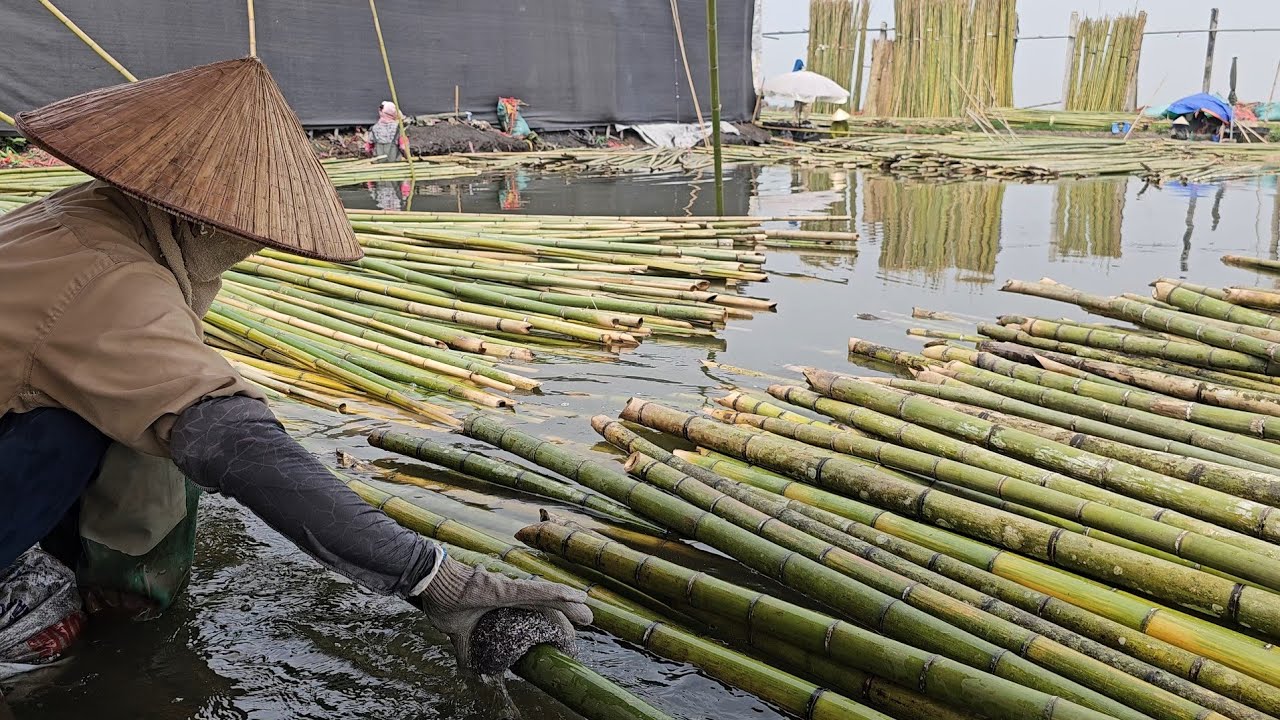The Largest Bamboo Workshop in Vietnam &ndash; The Production Process of Export-Quality Bamboo Furniture.