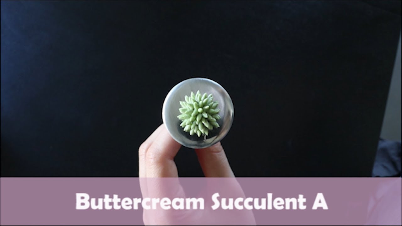 How to pipe 3 different types of Buttercream Succulents │ Korean Buttercream Flower