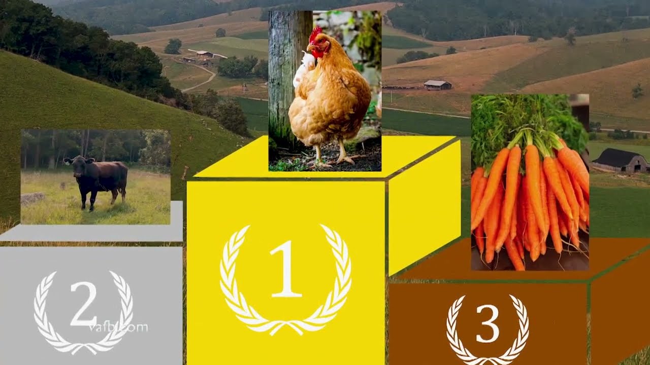 Virginia’s Top Agricultural Products