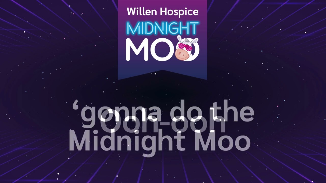 The Midnight Moo song by The Zeroes