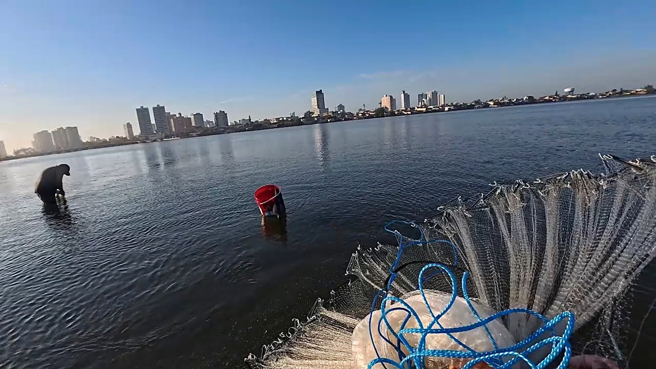 PESCARIA com TARRAFA de ARGOLA na LAGOA - Camarão, Sardinha, Peixe Rei.