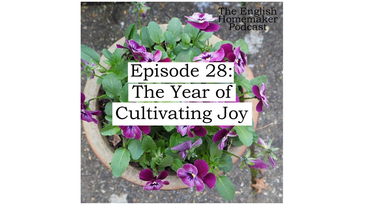 Episode 28: The Year of Cultivating Joy