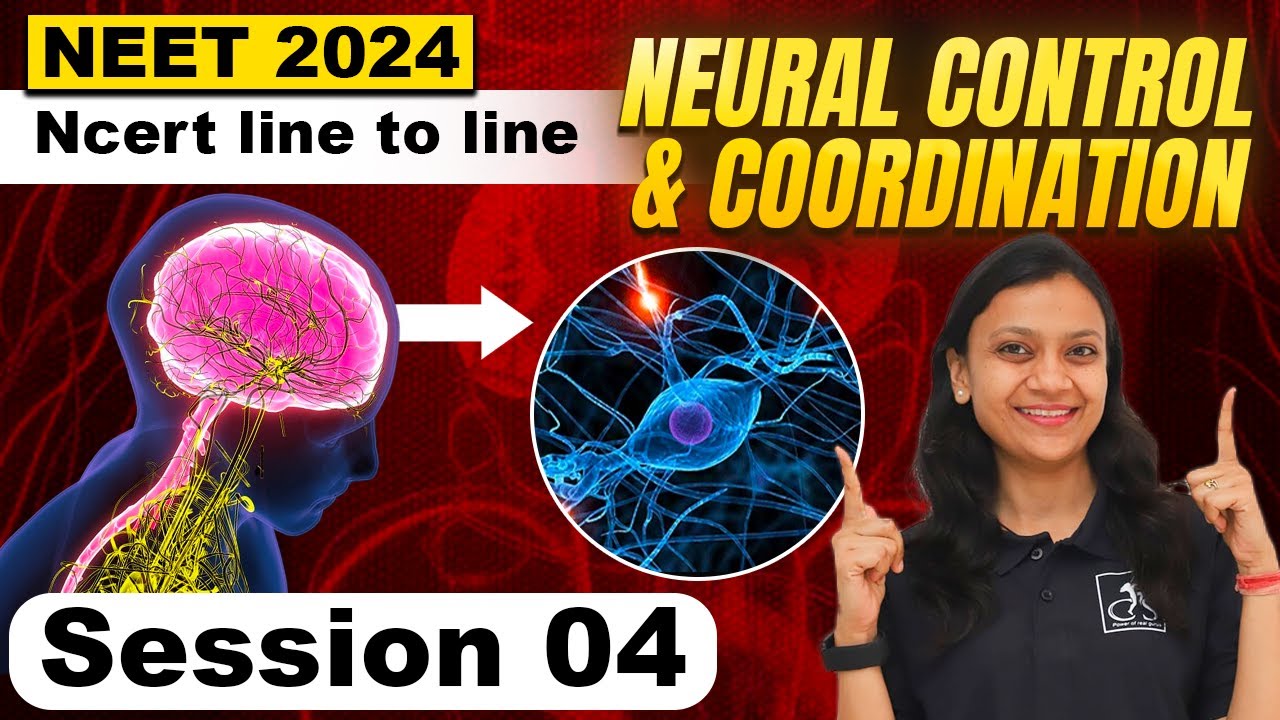 Neural control and coordination - 4 | Central Nervous system | NCERT line by line