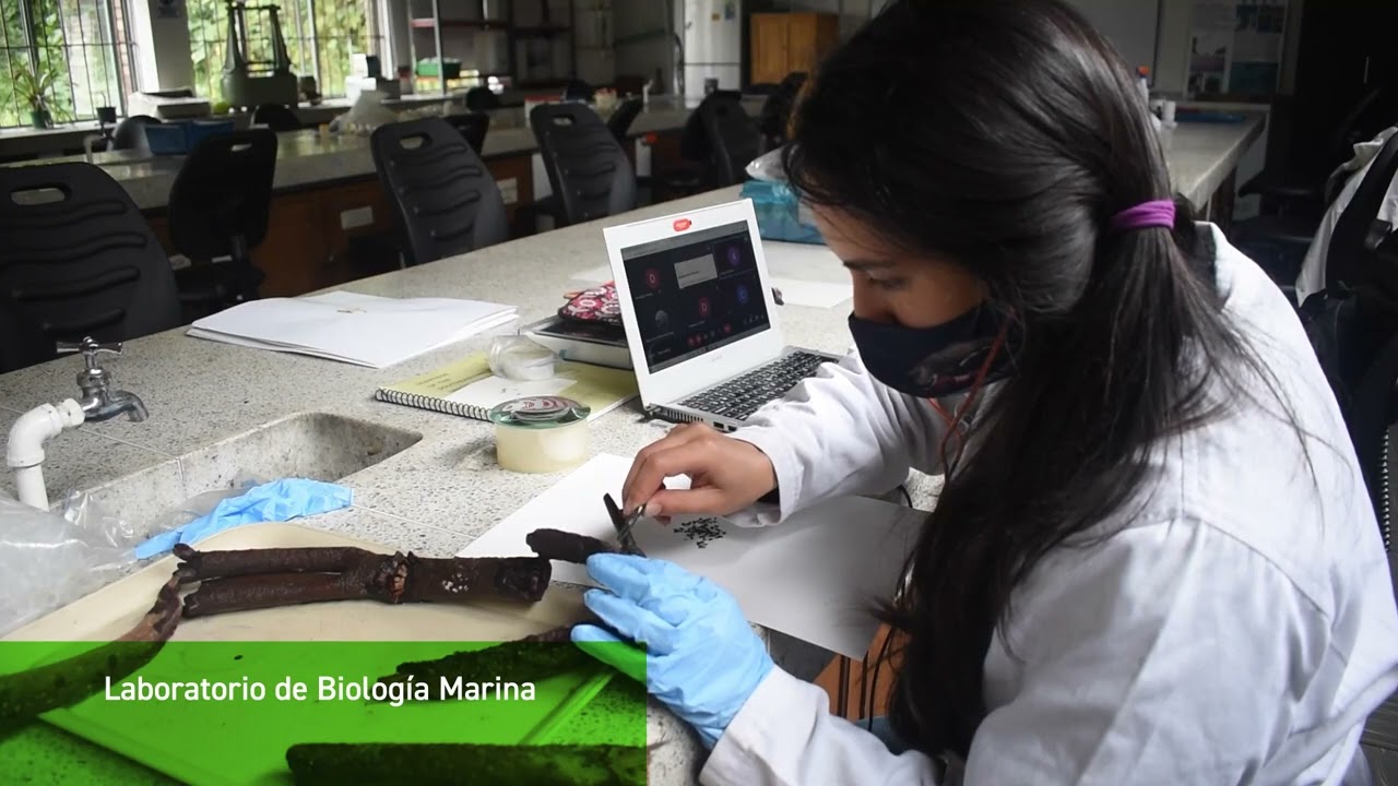 Desarrollo Inicial de la Carrera de Biología