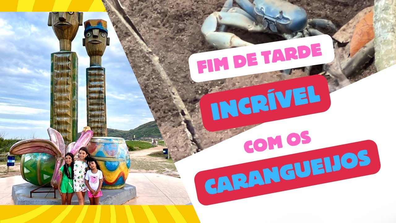 Fim de tarde incrível no manguezal 🦀🌿 | Passeio em família em Vila Velha/ES”