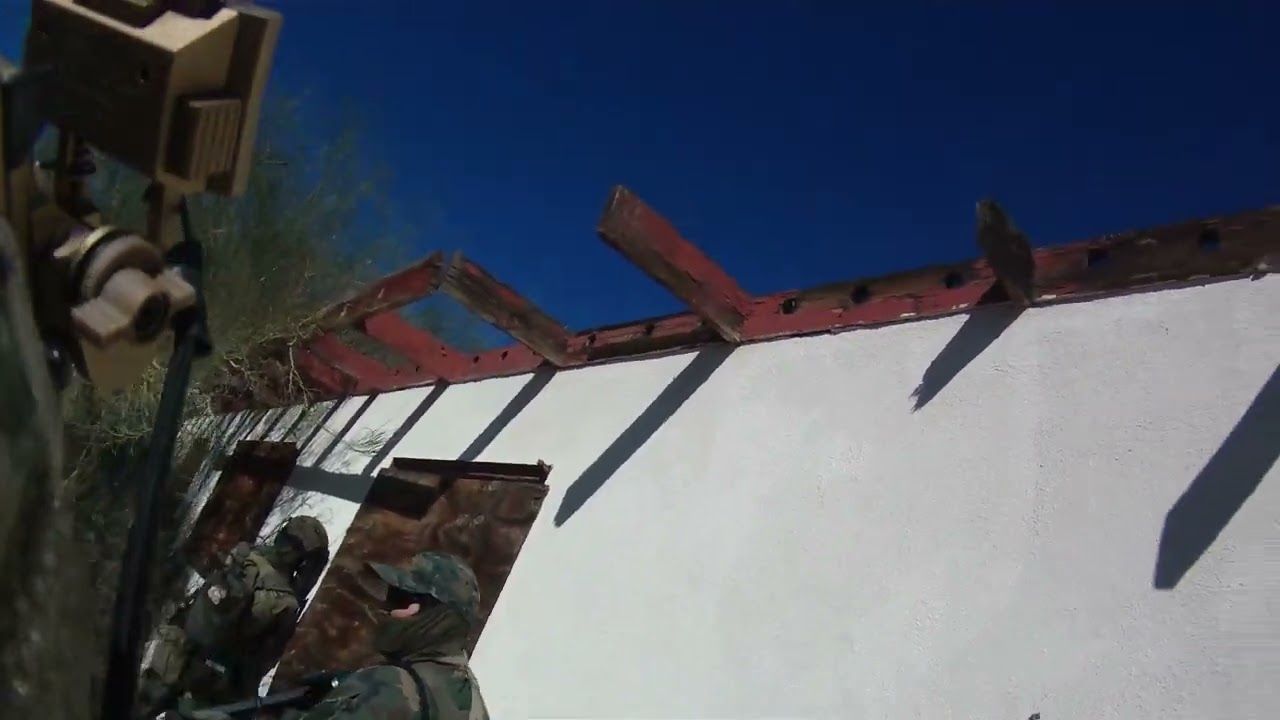 more money to big milsim (AMS Revolt 2)