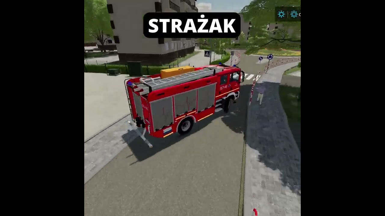 Typy graczy w #fs22  #short #57