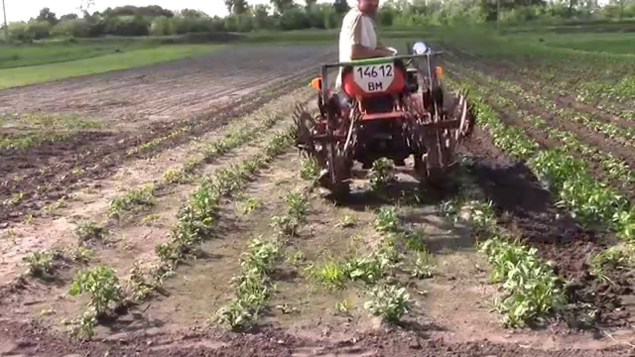 KUBOTA В10 самодельными ежиками по картошке