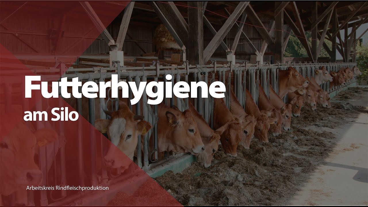 Futterhygiene am Silo