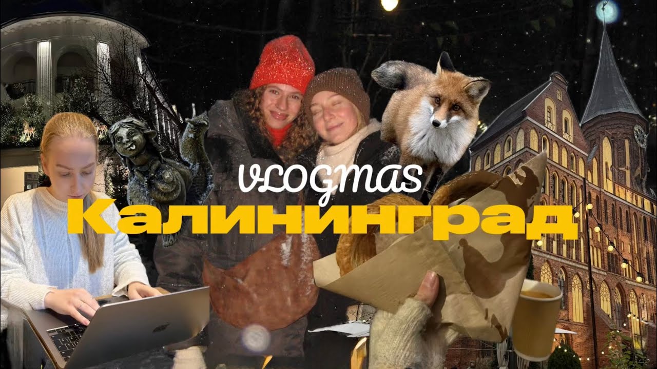 VLOGMAS: 📍Калининград // Кафедральный собор, рыбная деревня, Зеленоградск, крендели, Куршская 🥨