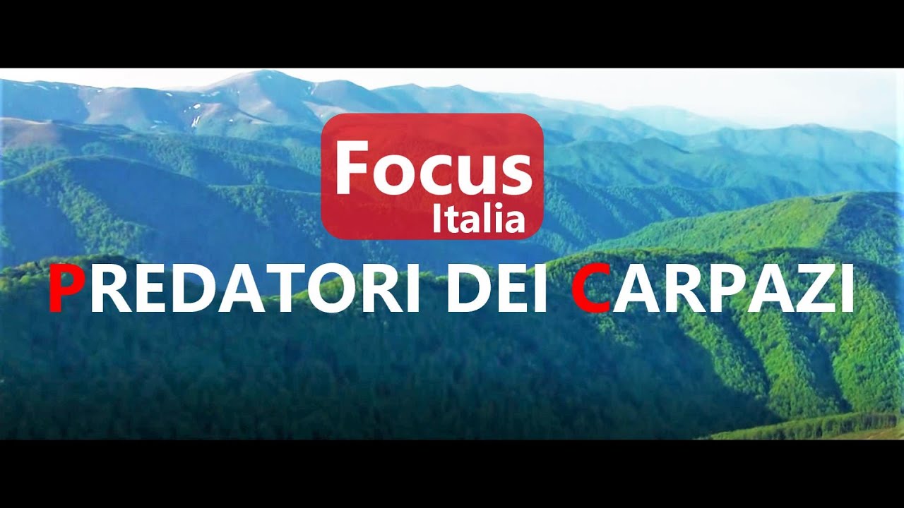 PREDATORI DEI CARPAZI -Documentario [ITA] Focus P1