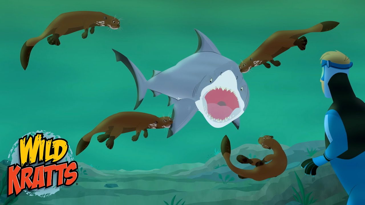 Giant Otters Take On a Bull Shark | Epic Creature Battle | Wild Kratts