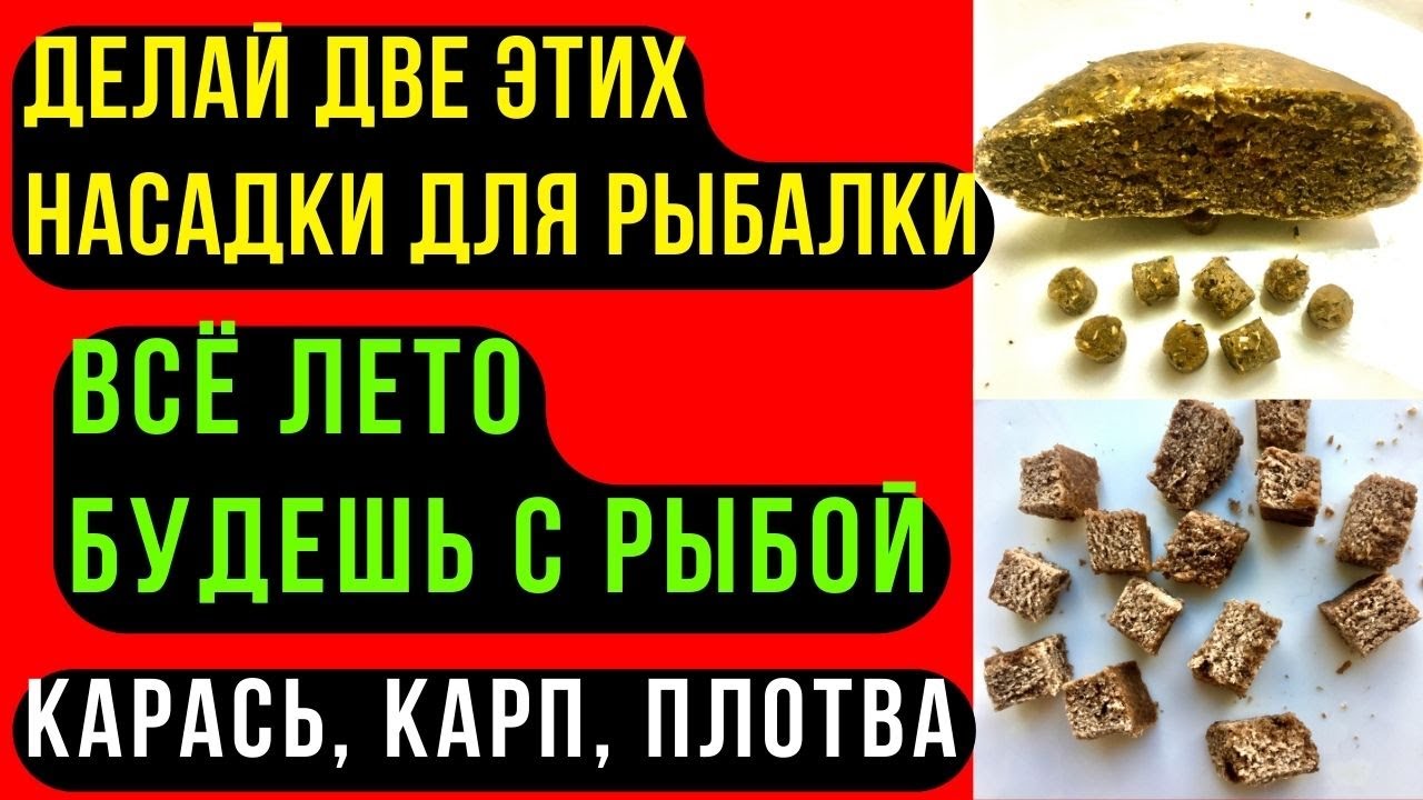 Две насадки для рыбалки на КАРАСЯ, КАРПА, ЛЕЩА. Обеспечат рыбой всё лето.