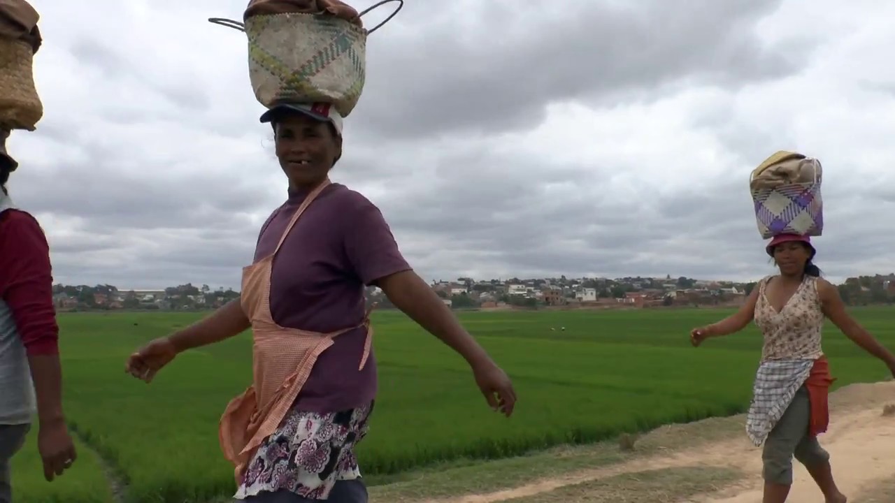 Découvrir Madagascar en 50 minutes !