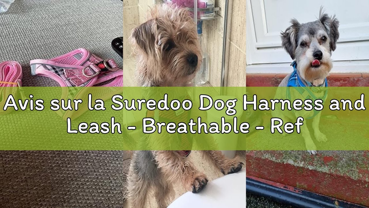 Avis sur la Suredoo Dog Harness and Leash - Breathable - Reflective - Step-in Harness for Dogs, Padd