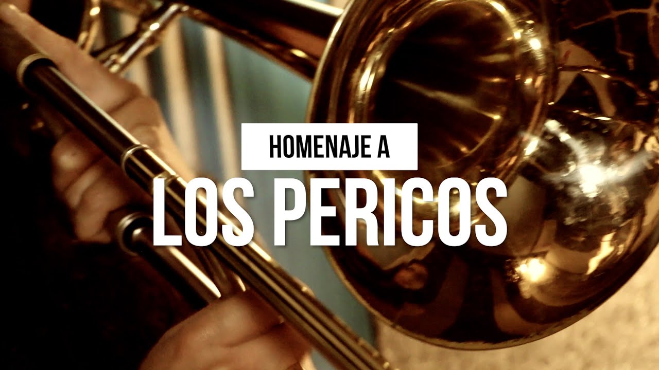 Pupilas Lejanas - Cover version por The klaxon-Homenaje a Los Pericos