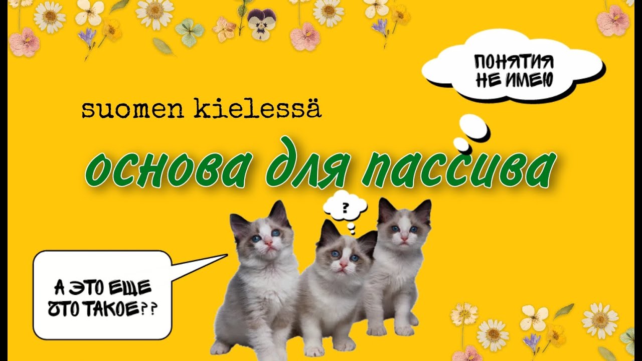 Основа для пассива