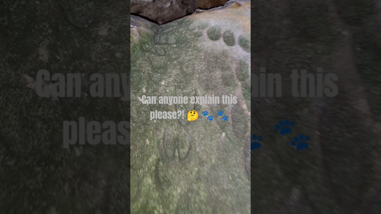 paw print in stone?! 🤔 can anyone please explain this to my dumb mind? how? how in the world??! 🤯