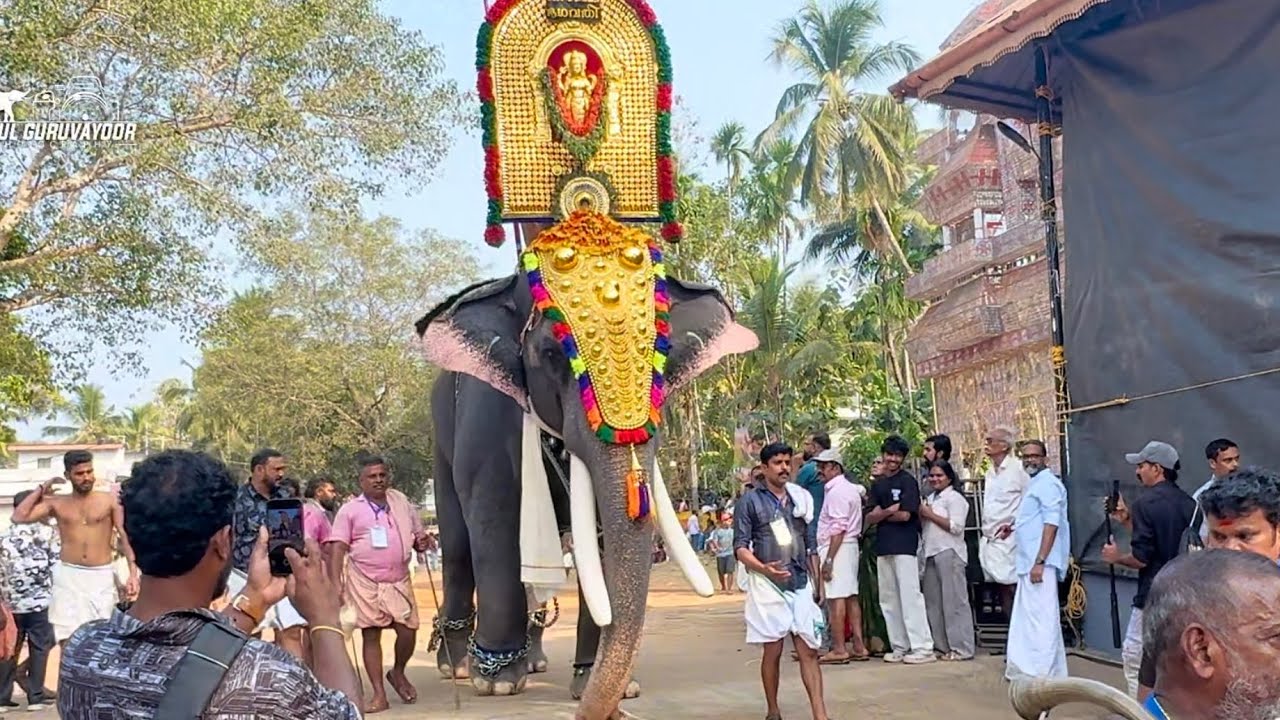 ചീരംകുളം പൂരത്തിന് ചെന്താമരാക്ഷൻ ഭഗവതി പൂരാഘോഷ കമ്മിറ്റിയിൽ