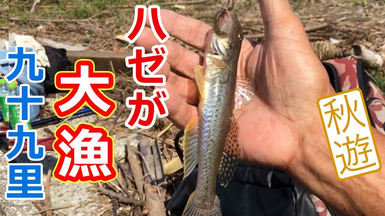 ハゼが大漁！九十九里