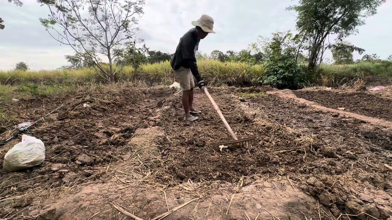ធ្វេីរោងដាំដំណាំ🌱 |  Planting a plant  |