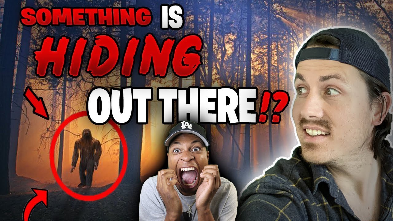 5 STRANGEST disappearances in forests | The Missing 411 phenomenon