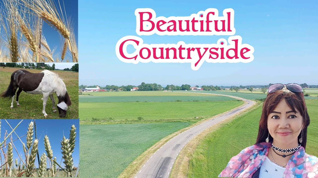 Beautiful Countryside : Sweden Countryside In Summer