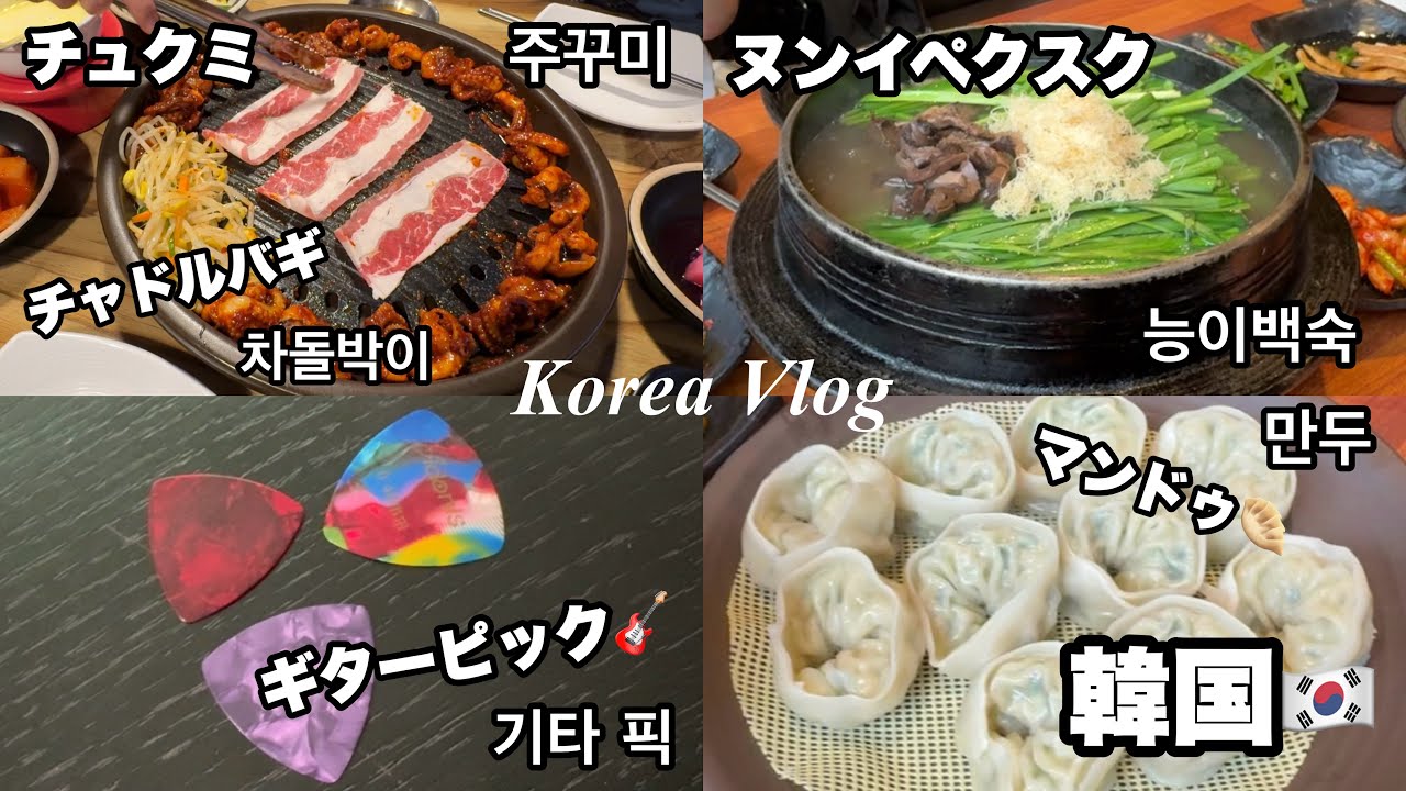 【韓国旅】韓国で食べて行きたいとこ行く🤤明洞グルメ/チュクミ주꾸미/チャドルバギ차돌박이/ヌンイペクスク능이백숙/楽園商街낙원상가/相鉄ホテルズ ザ・スプラジール明洞